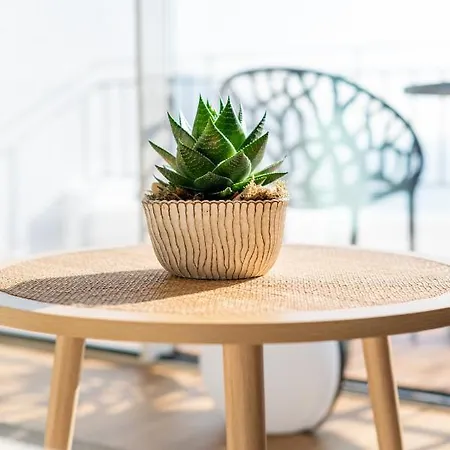 Rooftop I By Madeira 公寓