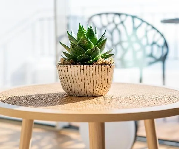 Rooftop I By Madeira דירה